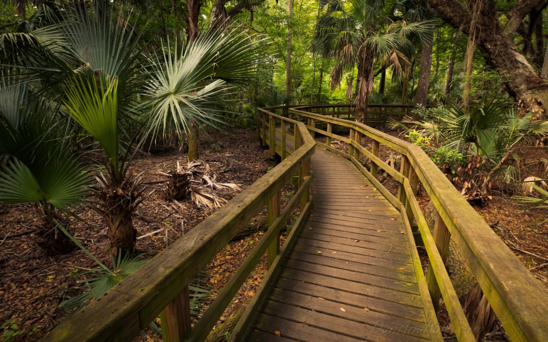 Hilton Head Walkways