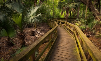 Hilton Head Walkways