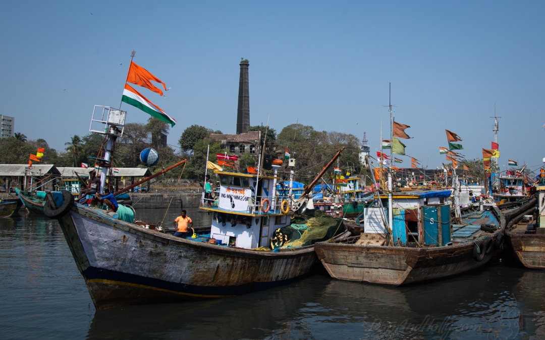 Indian Fishing Boats