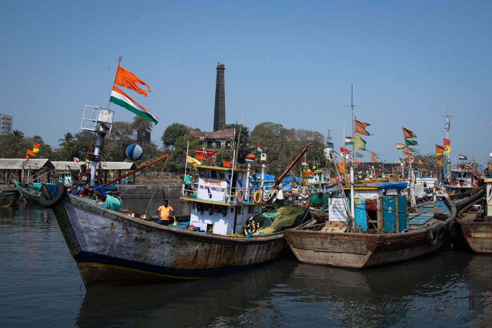 indian-fishing-boats-danandholly