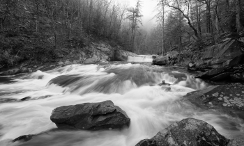 Hey! Get outta my shot!