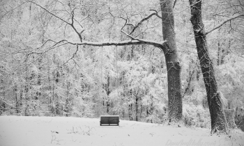 A Seat in the Snow