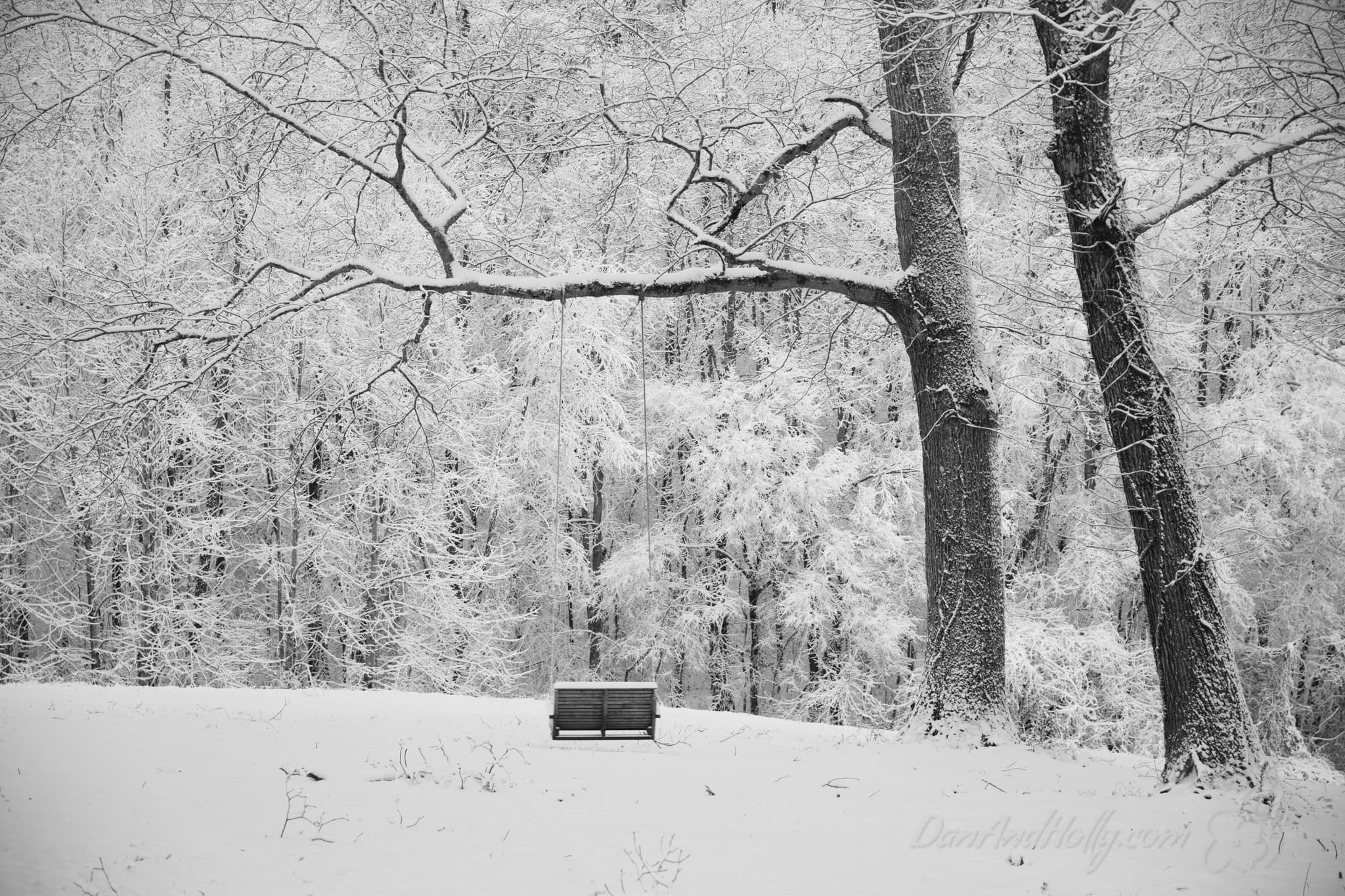 A snowy scene with a swing hanging from a tree