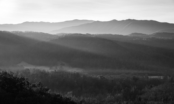 Progression of Light in the Smokies