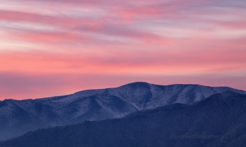 Winter Sunrise Collection