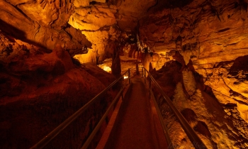 Inside Mammoth and Diamond Caves