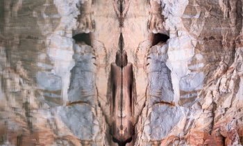 I See Faces in the Reflections