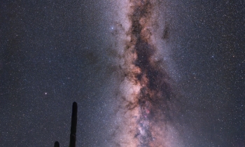 The Saguaro Milky Way