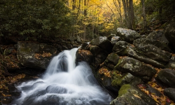 Upper Lynn Camp Prong Falls in Autumn