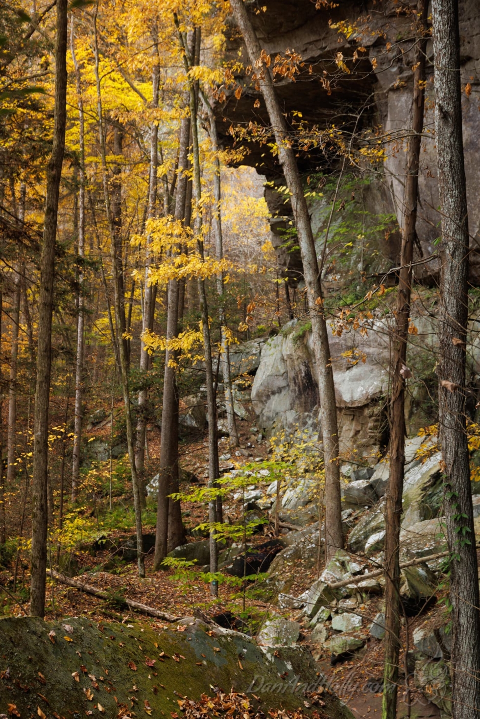 Autumn on the Honey Creek Trail