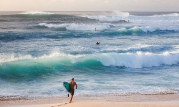 Surf’s Up!