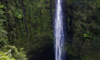 The Big Island’s Natural Beauty