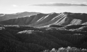 Spring Sunrise in Black and White