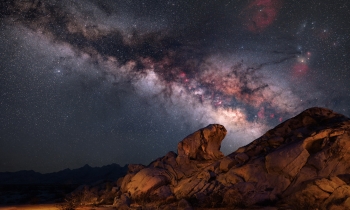 The Rhino and the Dark Horse