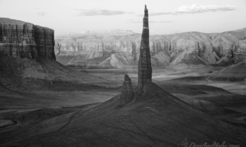 Needles in the Desert