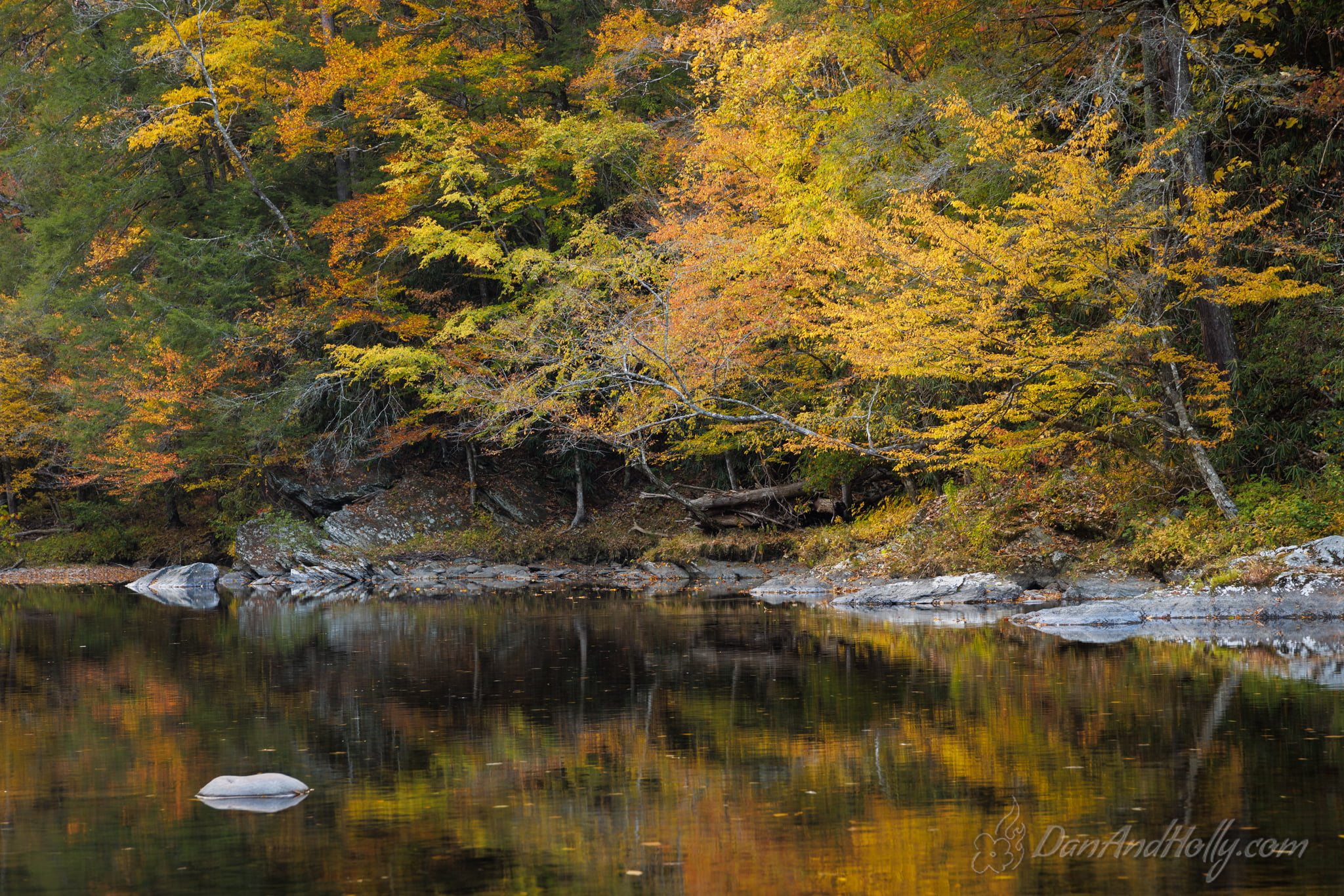 Downtown Knoxville in Fall Colors