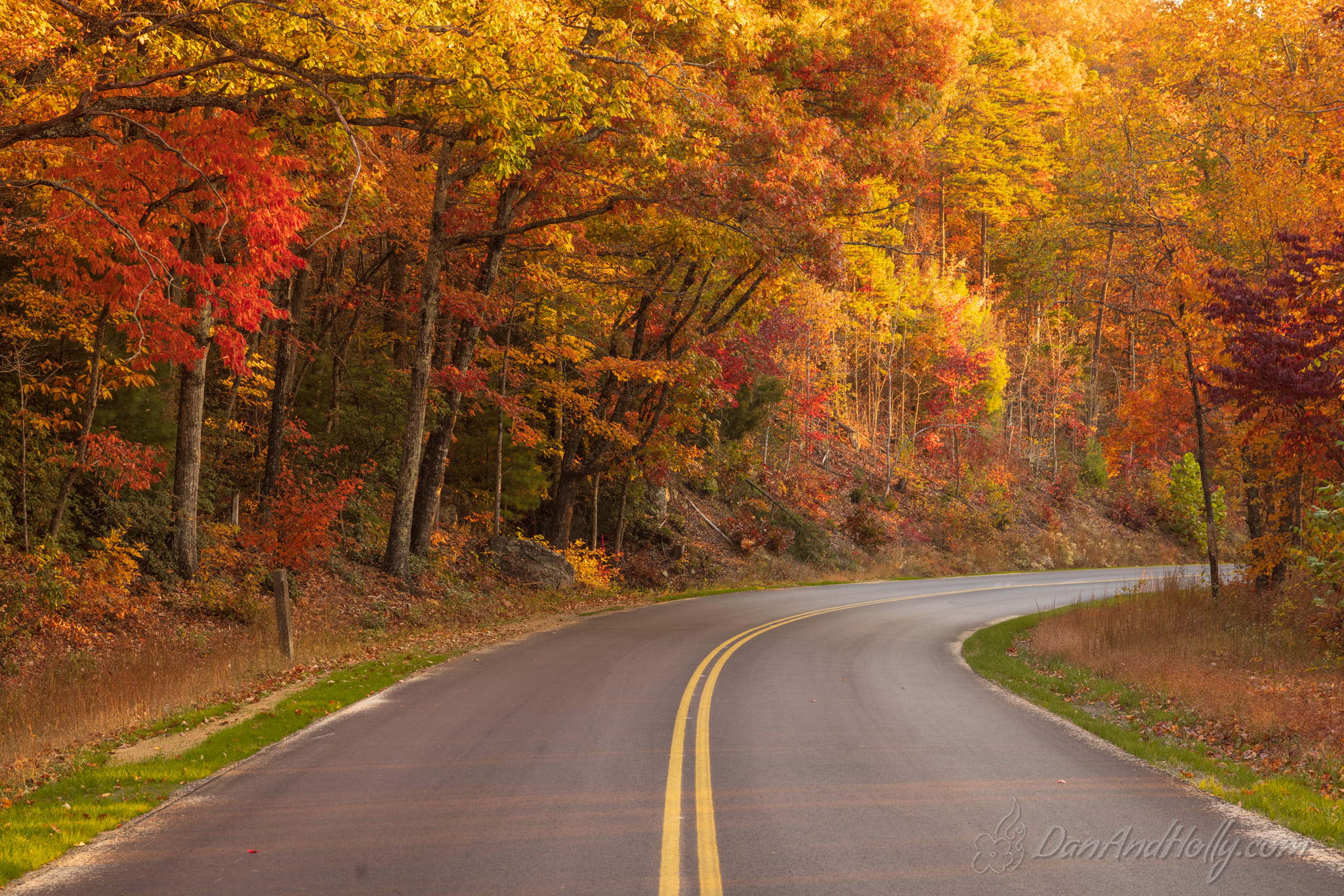 Downtown Knoxville in Fall Colors