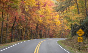 Autumn Roads in the Smokies