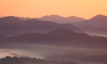 Hazy, Foggy Mornings