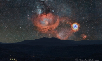 Rosette Rising – 2023 (100mm)