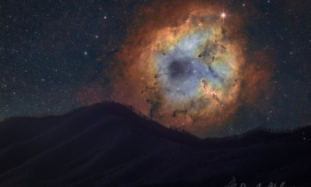 The Setting Elephant Trunk