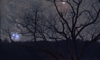 The Setting of Pleiades and California Nebula