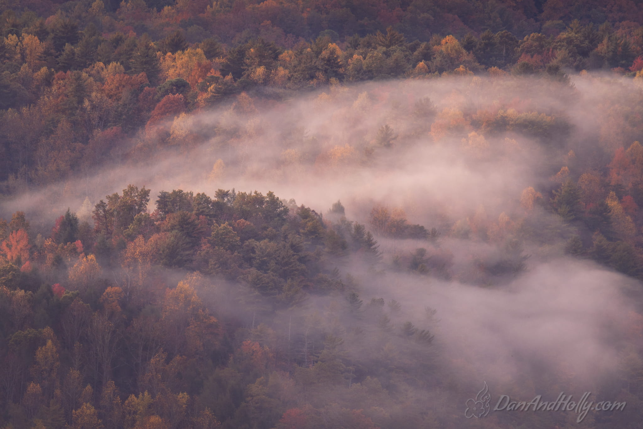 Downtown Knoxville in Fall Colors