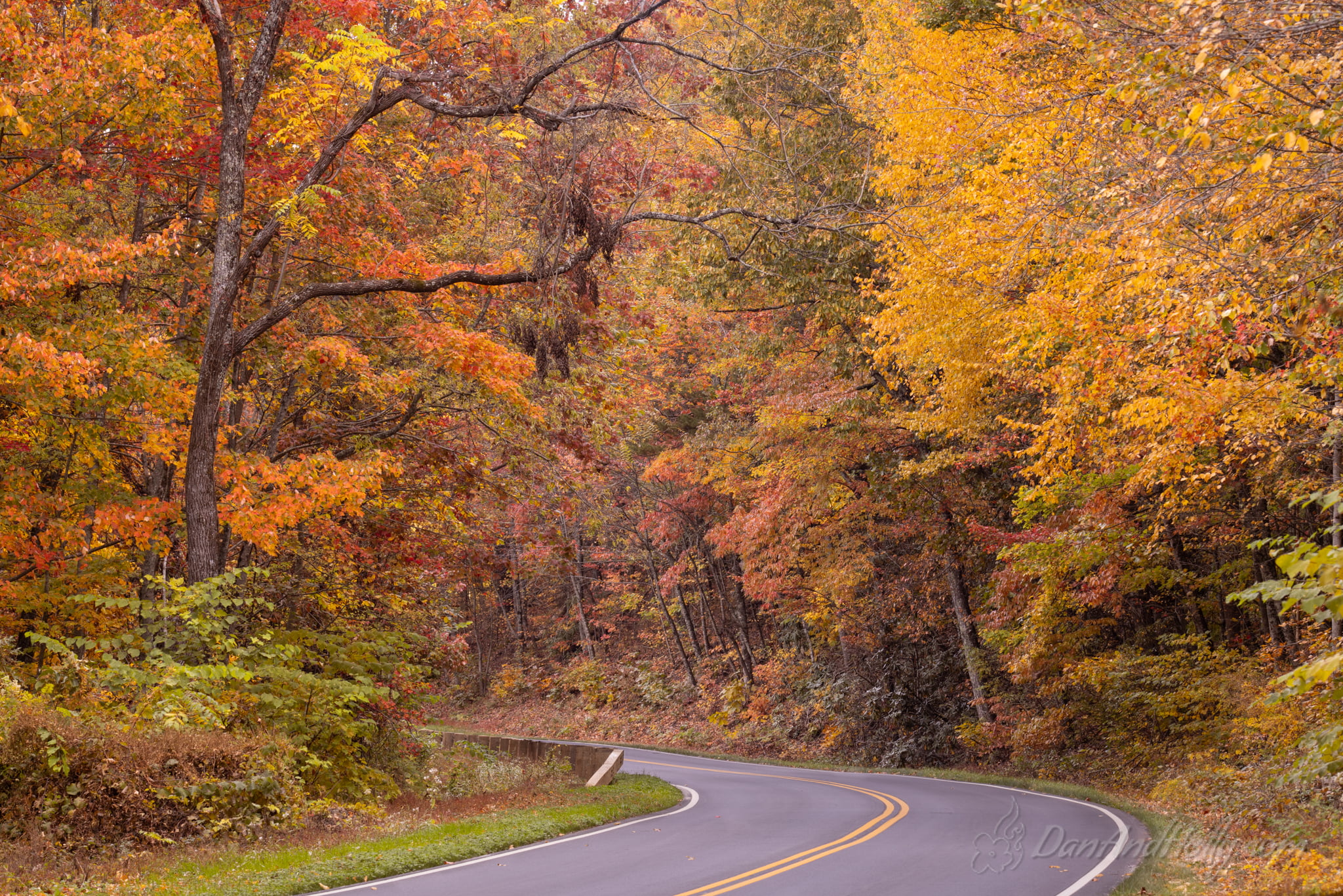 Downtown Knoxville in Fall Colors