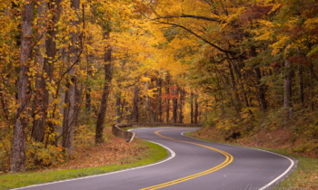 Roads of the Smokies