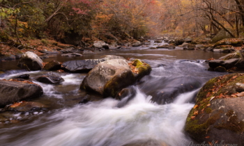 Fall Stream Extravaganza – 2023