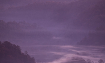 Merry Christmas! – Moody Autumn Morning