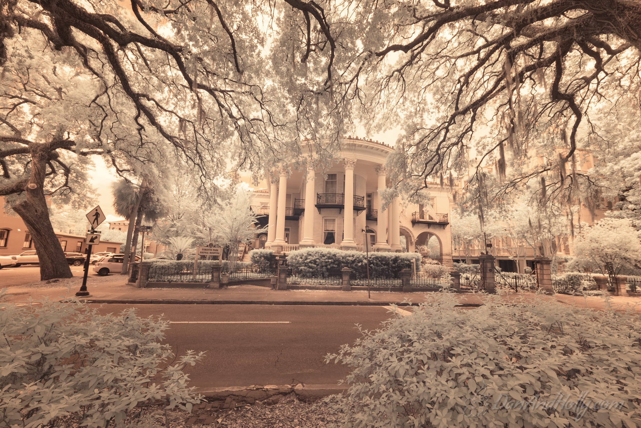 Downtown Knoxville in Fall Colors