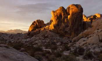 Joshua Tree Photo Essay