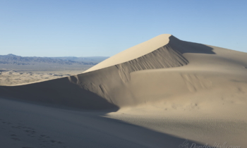 Kelso Dunes Photo Essay