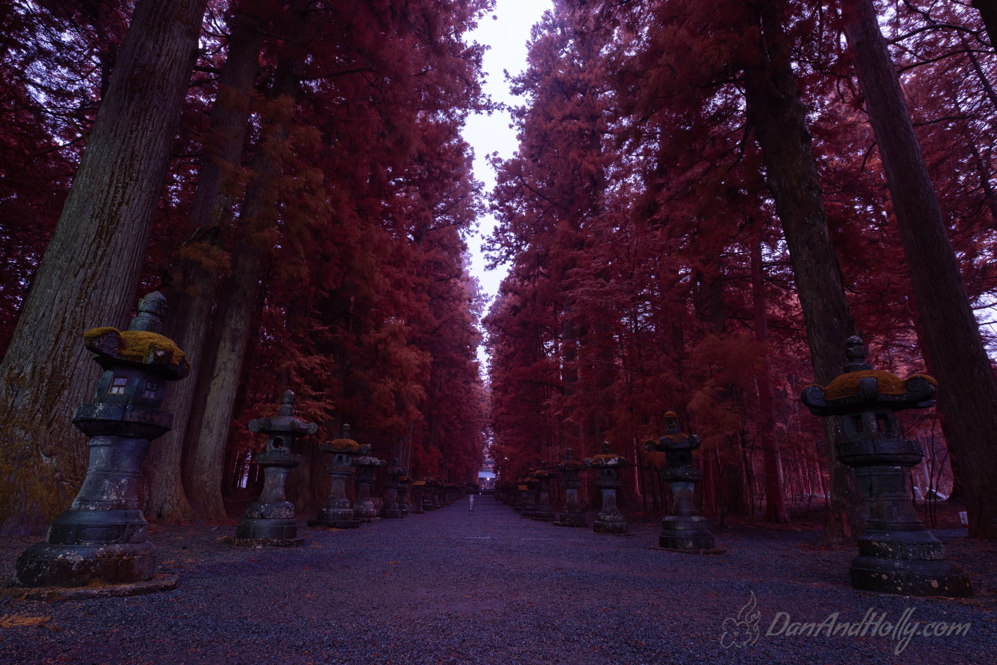 Japanese Shrines (1) Downtown Knoxville in Fall Colors