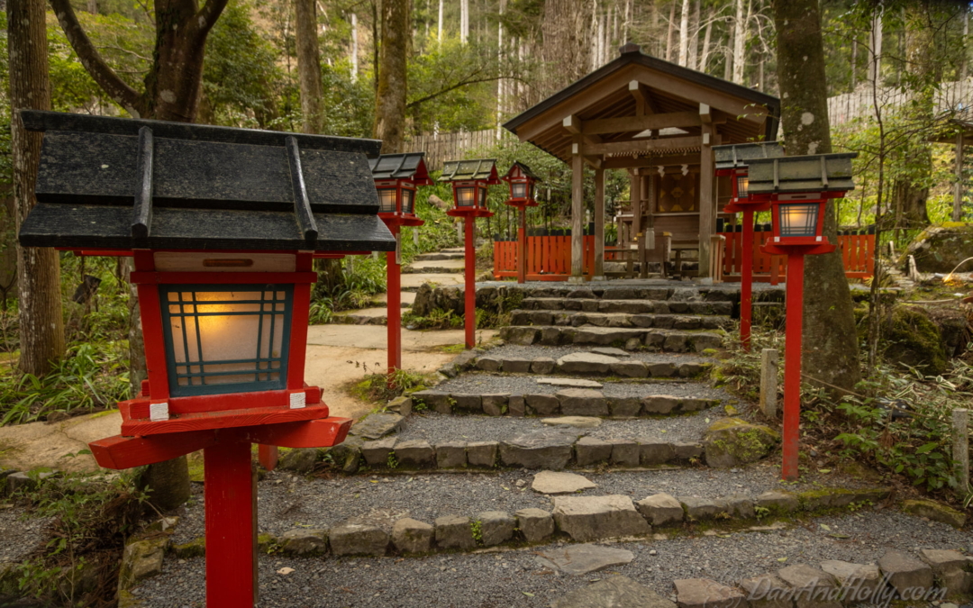 Beauty at Japanese Shrines