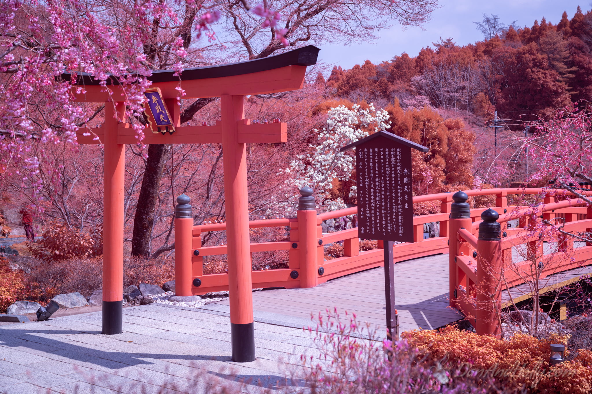 Japanese Shrines (7) Downtown Knoxville in Fall Colors