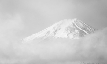 Views of Mount Fuji