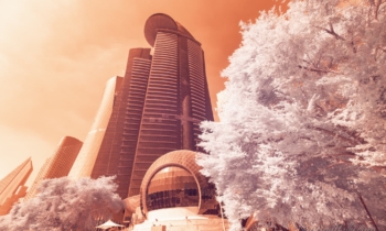 Views of Qatar