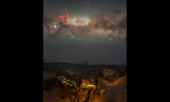 Junked Cars Under the Stars