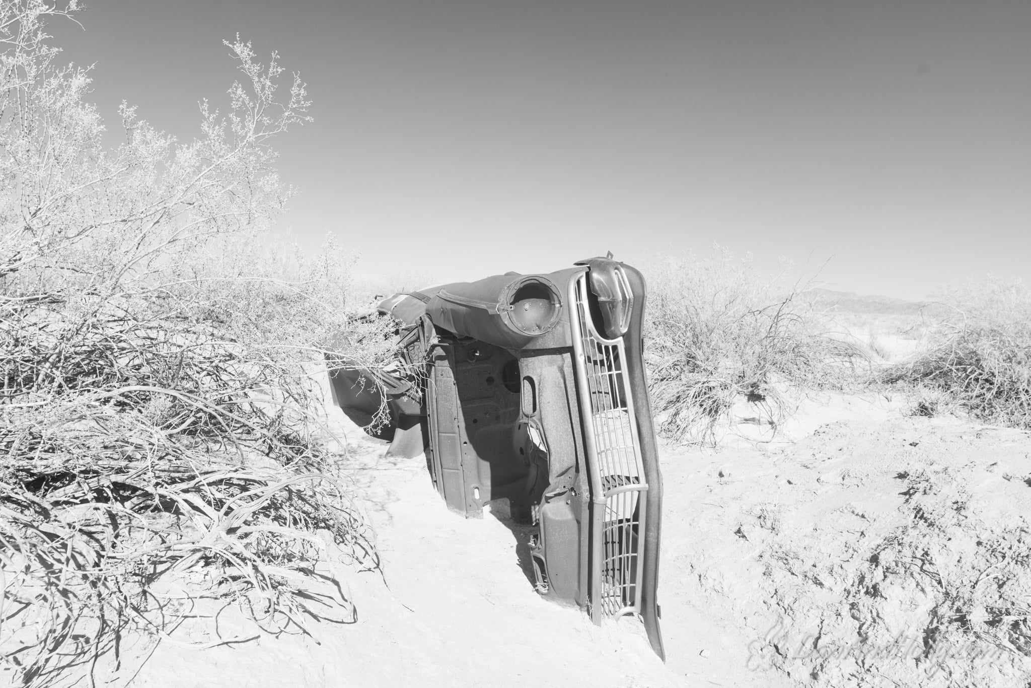 Joshua Tree 52 Ford (3)