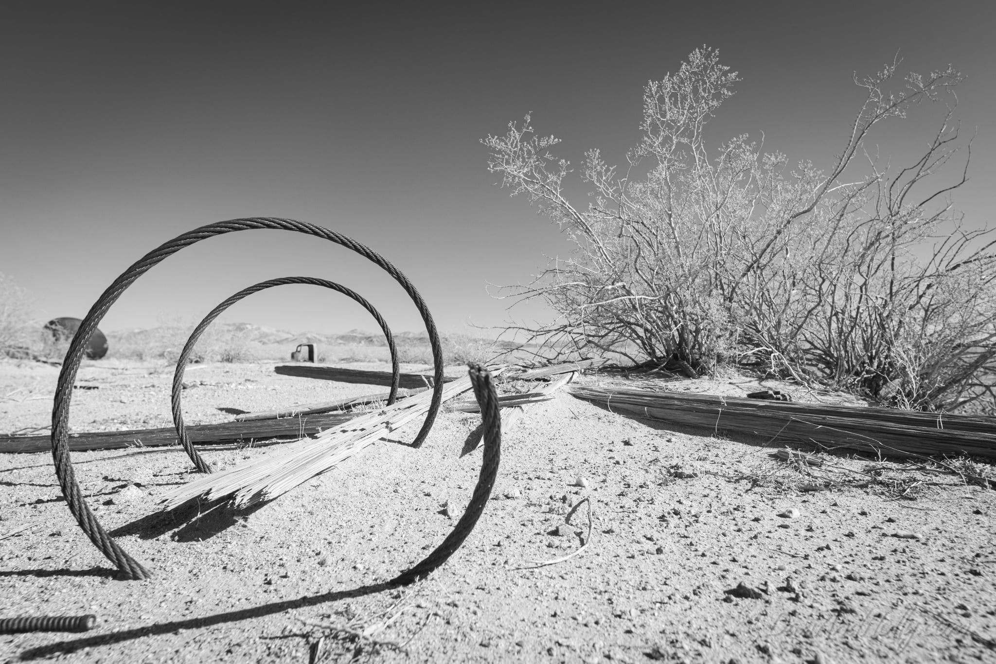Downtown Knoxville in Fall Colors