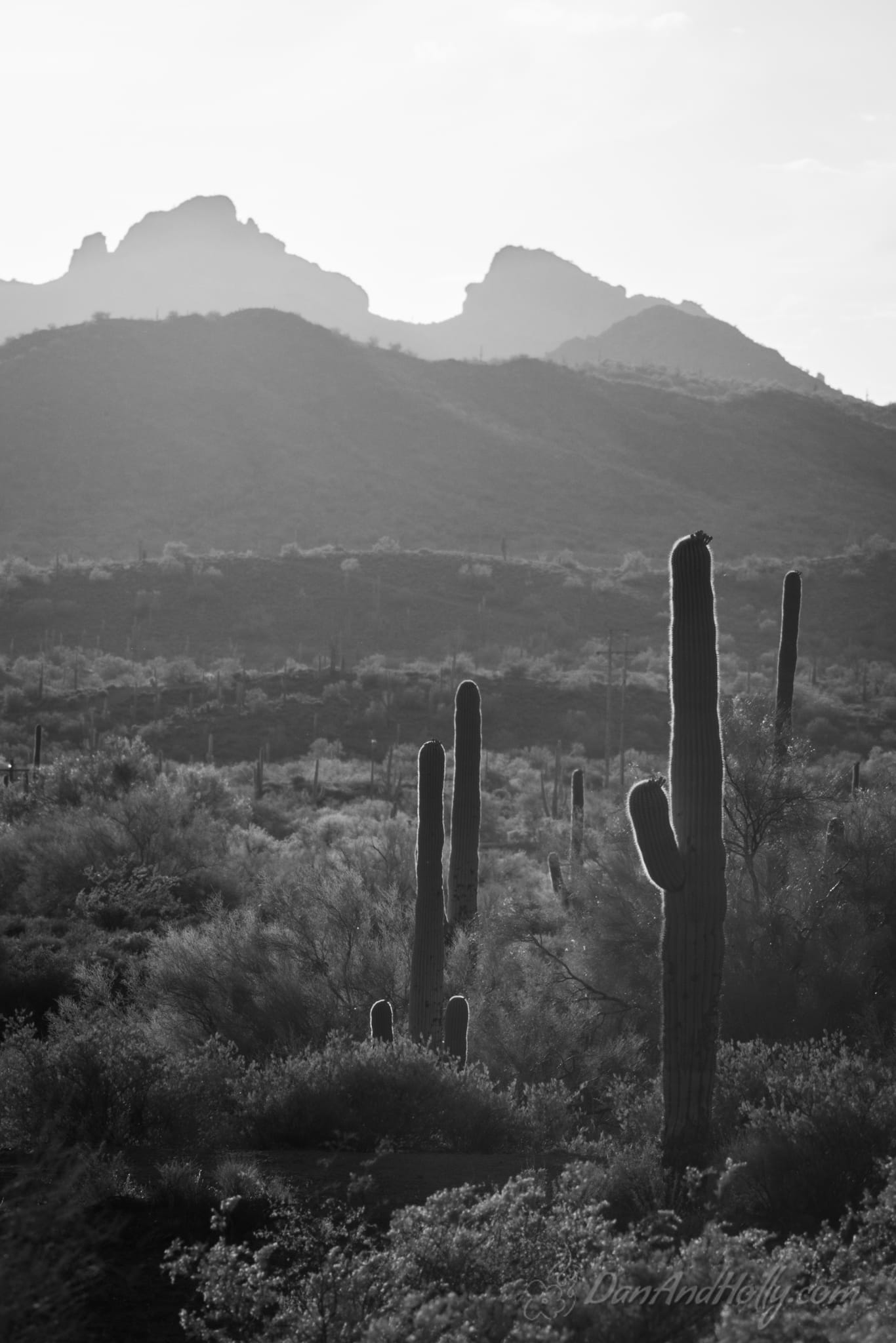 Lost Dutchman (1)