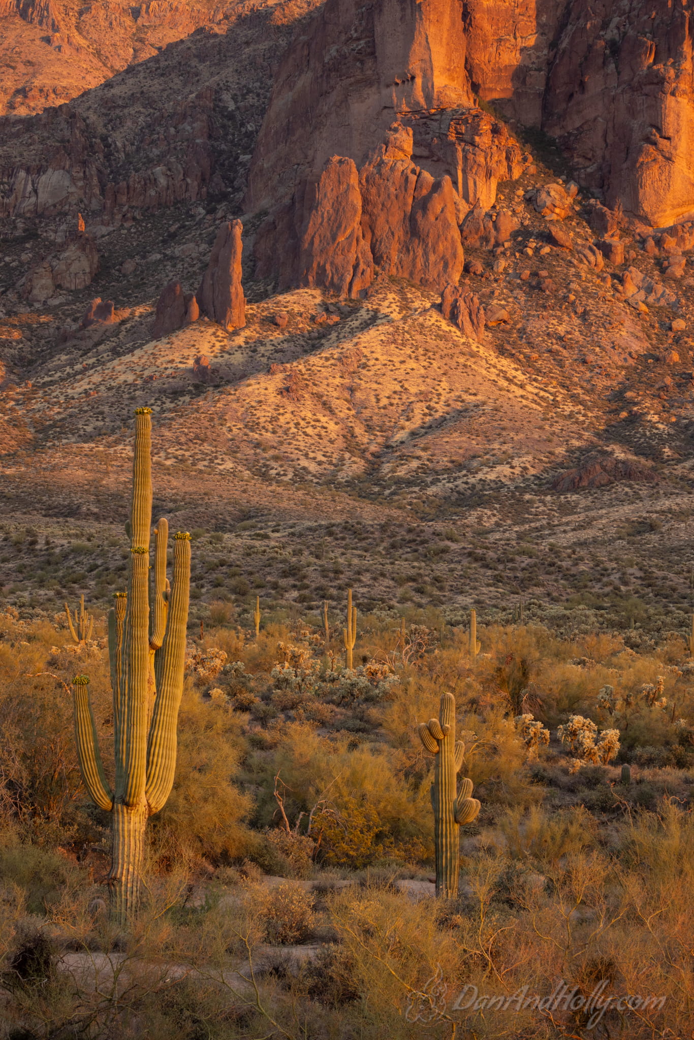 Lost Dutchman (2)