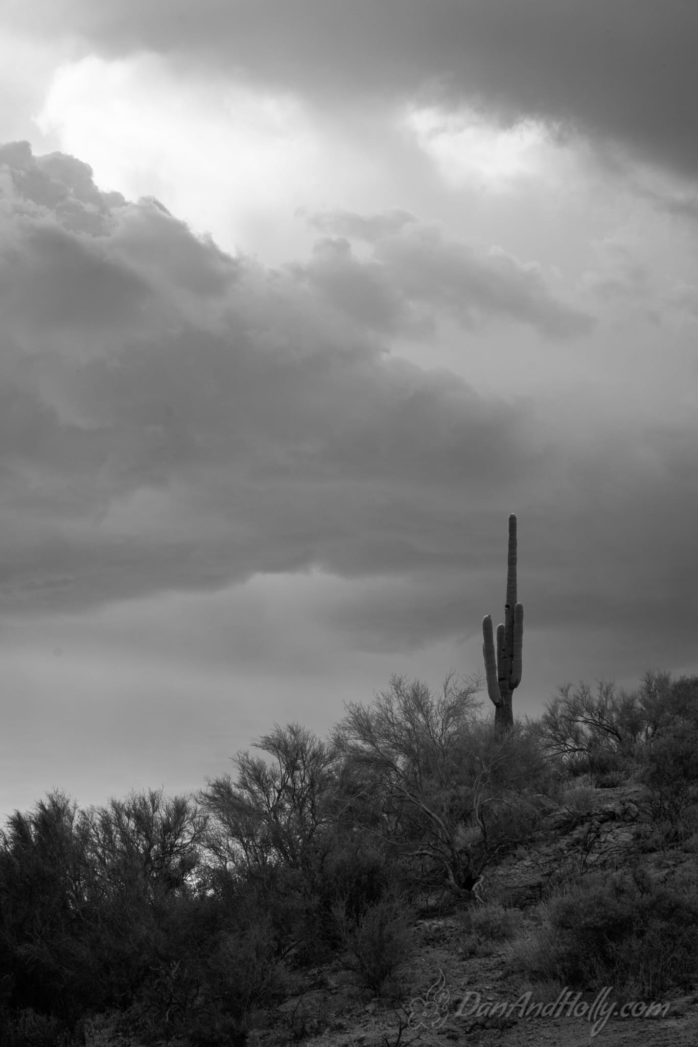 Lost Dutchman (7)