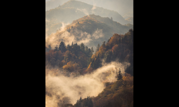 Foggy Sunrise in the Smokies