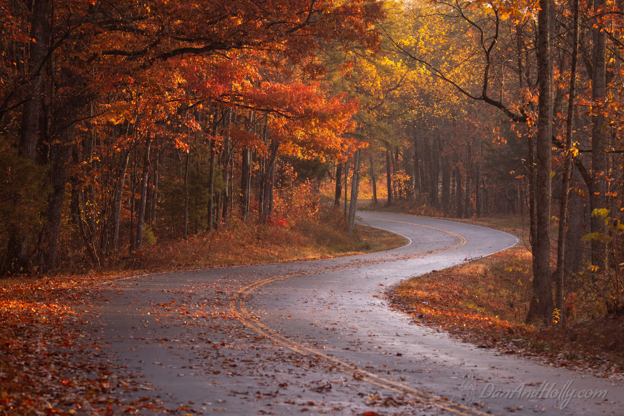 Downtown Knoxville in Fall Colors