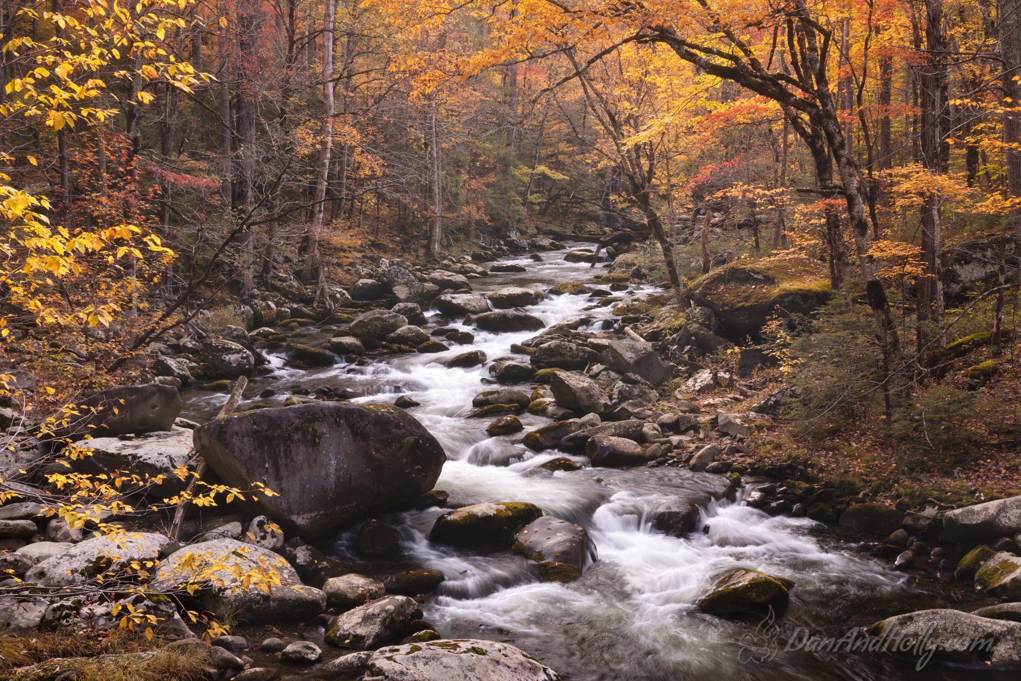 Downtown Knoxville in Fall Colors