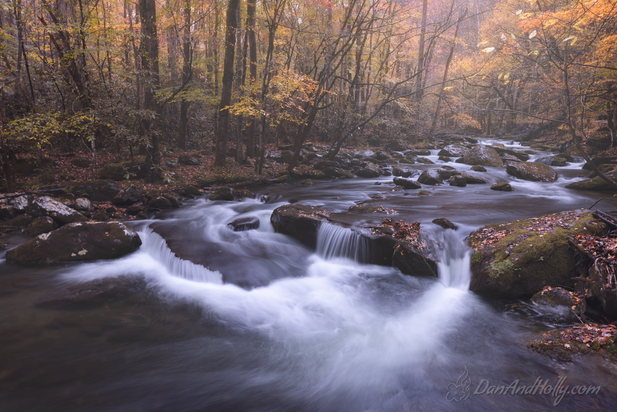 Downtown Knoxville in Fall Colors
