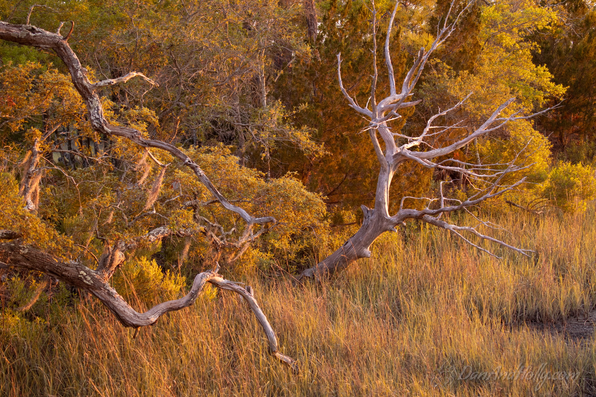 Downtown Knoxville in Fall Colors